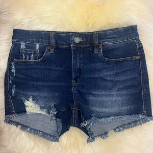 BlankNYC Essex Denim Shorts Size 27- Dark Wash